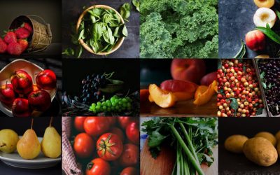 Understand Your Food Safety